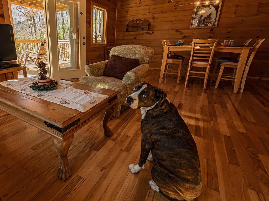 Log Cabin In Smoky Mountains Sevierville Exterior photo